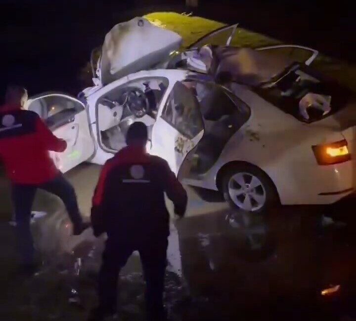 Bitlis’in Güroymak ilçesinde otomobilin at arabasına çarpması sonucu meydana gelen