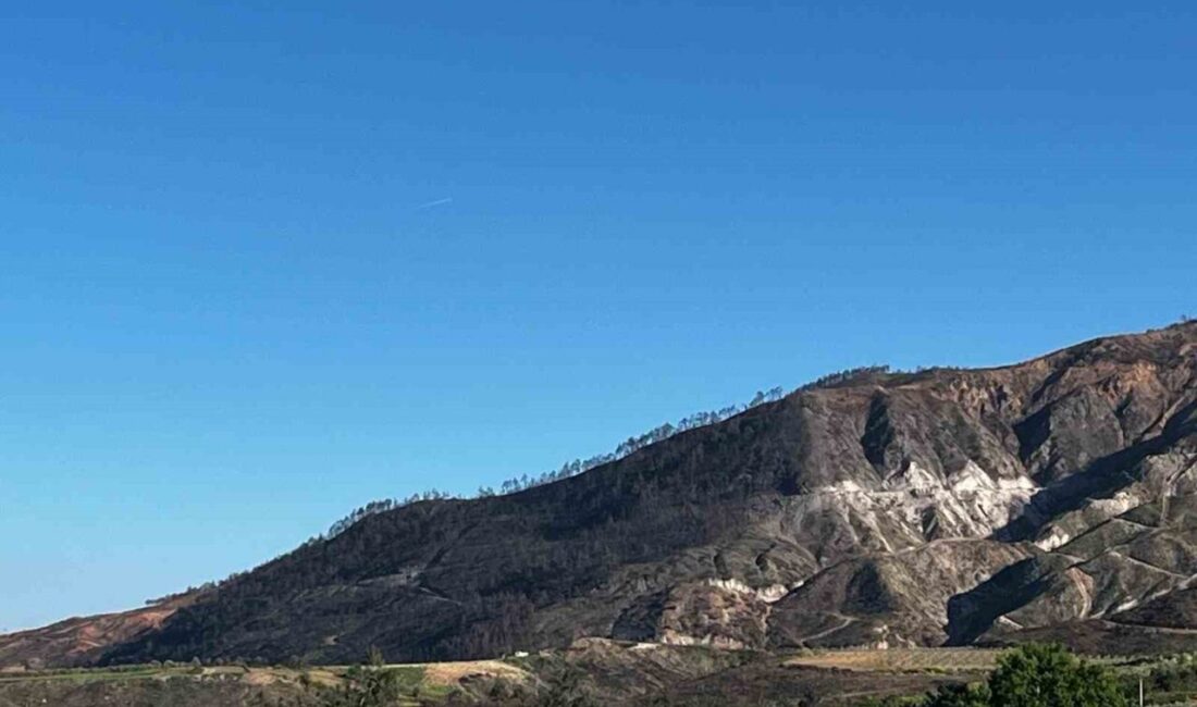 Buldan’da geçtiğimiz yıl çıkan ve beş gün süren orman yangınının