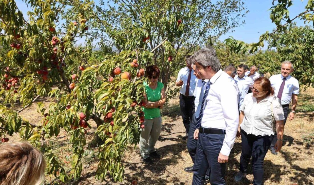Bursa Uludağ Üniversitesi (BUÜ), 2026 yılı alan bazlı QS Dünya