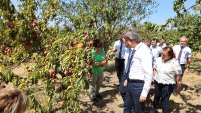 Bursa Uludağ Üniversitesi (BUÜ), 2026 yılı alan bazlı QS Dünya