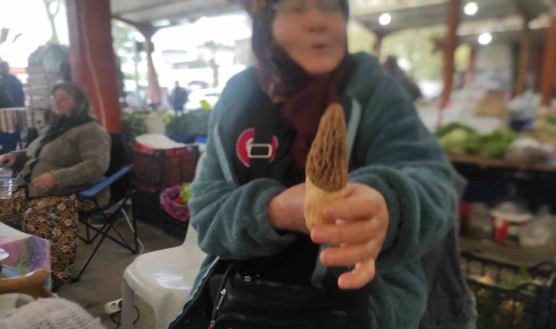 Çanakkale’nin sınırları içerisinde kalan Kazdağları’nın eteklerindeki Bayramiç dağ köylerinde vatandaşlar,