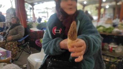 Çanakkale’nin sınırları içerisinde kalan Kazdağları’nın eteklerindeki Bayramiç dağ köylerinde vatandaşlar,