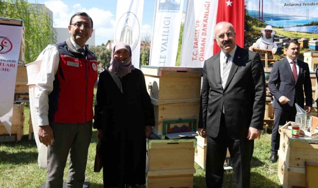 Çanakkale ilinde 2025 yılında meydana gelen orman yangınlarında zarar gören