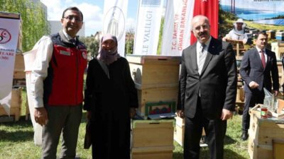 Çanakkale ilinde 2025 yılında meydana gelen orman yangınlarında zarar gören