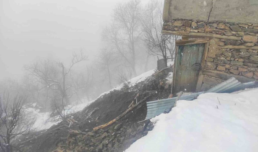 Van’ın Çatak ilçesinde meydana gelen toprak kayması sonucu 2 katlı