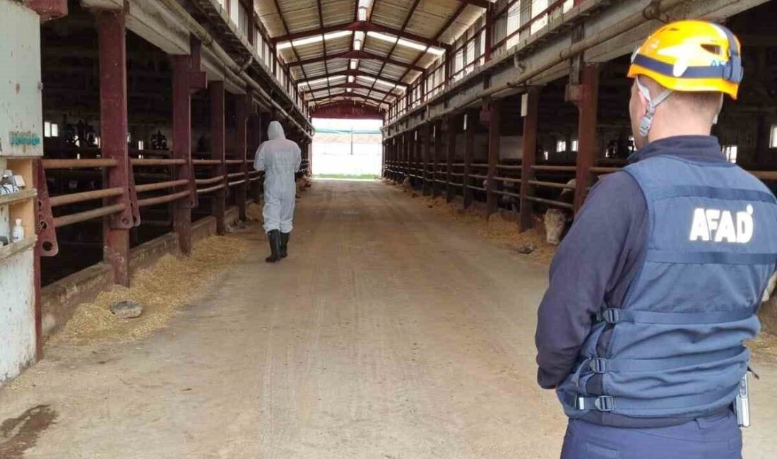 Çorum’da bir çiftlikten sızdığı değerlendirilen gaz sebebiyle 1 işçi ve