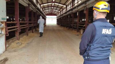 Çorum’da bir çiftlikten sızdığı değerlendirilen gaz sebebiyle 1 işçi ve