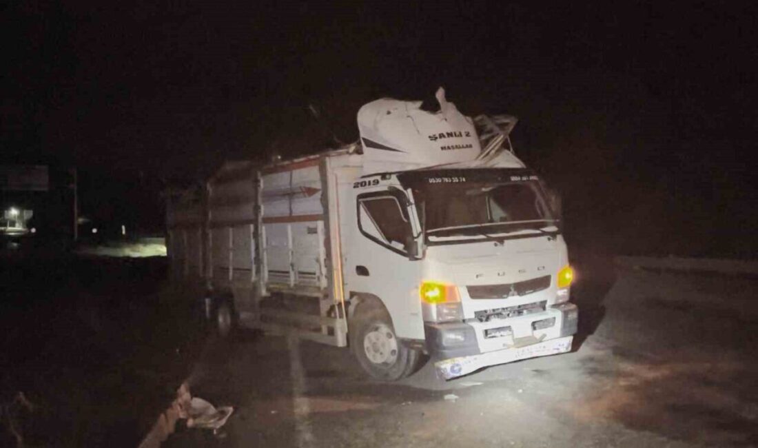 Çorum’un Alaca ilçesinde hafif ticari aracın kamyona çarpması neticesinde meydana