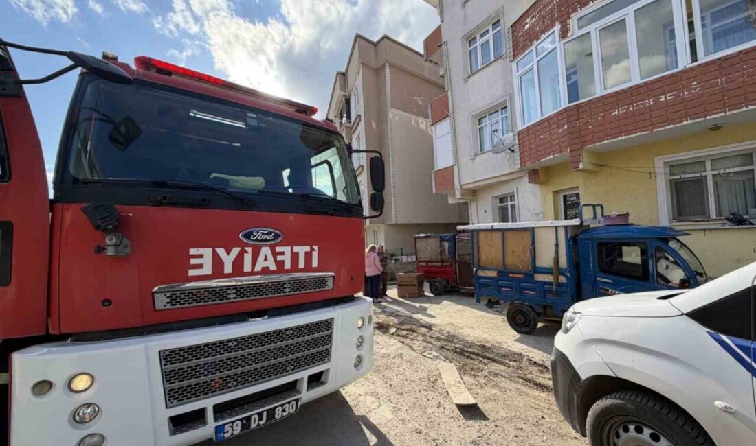 Tekirdağ’ın Kapaklı ilçesinde bulunan bir dairenin balkon kısmında bulunan kartonlardan
