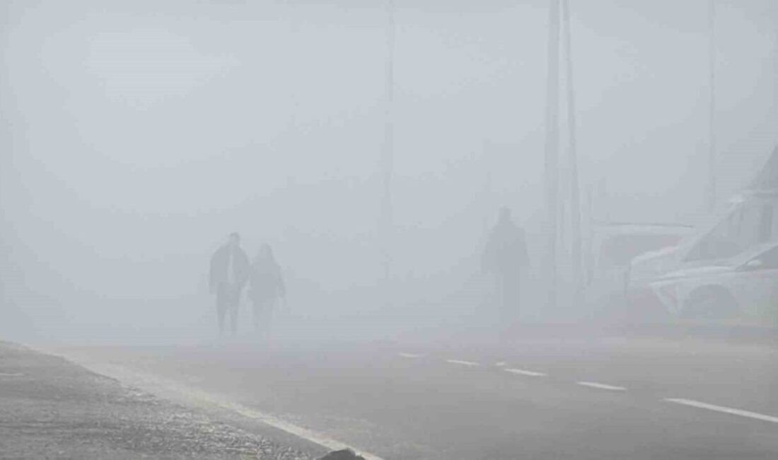 Diyarbakır’da yoğun sis, görüş mesafesini 20 metreye kadar düşürdü. Sürücüler