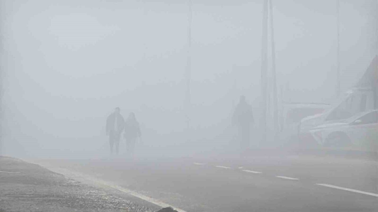 Diyarbakır’da yoğun sis, görüş mesafesini 20 metreye kadar düşürdü. Sürücüler