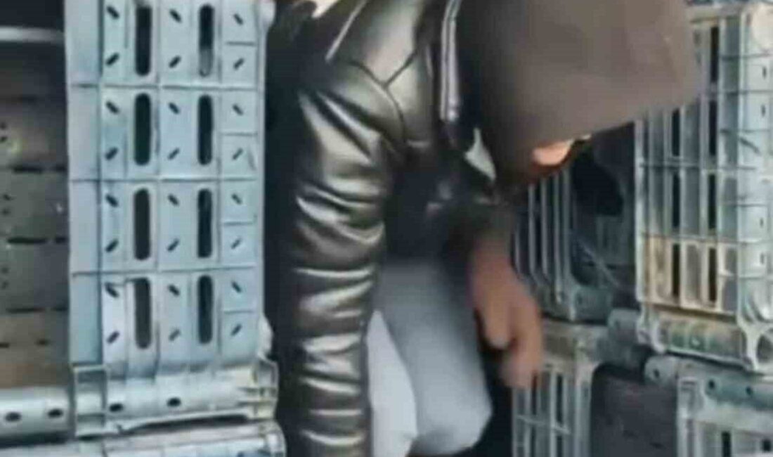 Düzce jandarma ekiplerinin göçmen kaçakçılığıyla mücadelesi sürüyor. Yasa dışı yollardan