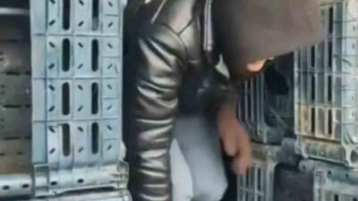 Düzce jandarma ekiplerinin göçmen kaçakçılığıyla mücadelesi sürüyor. Yasa dışı yollardan