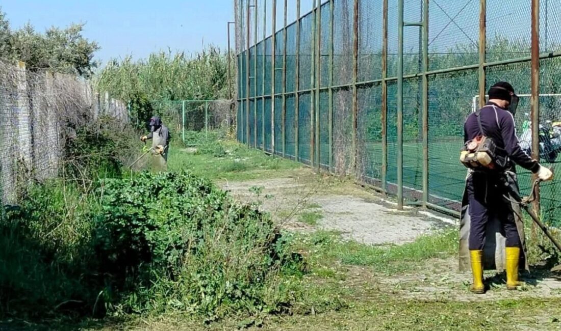 Saha çalışmalarını sürdüren Efeler Belediyesi ekipleri, Kocagür Mahallesi’nde ot biçme