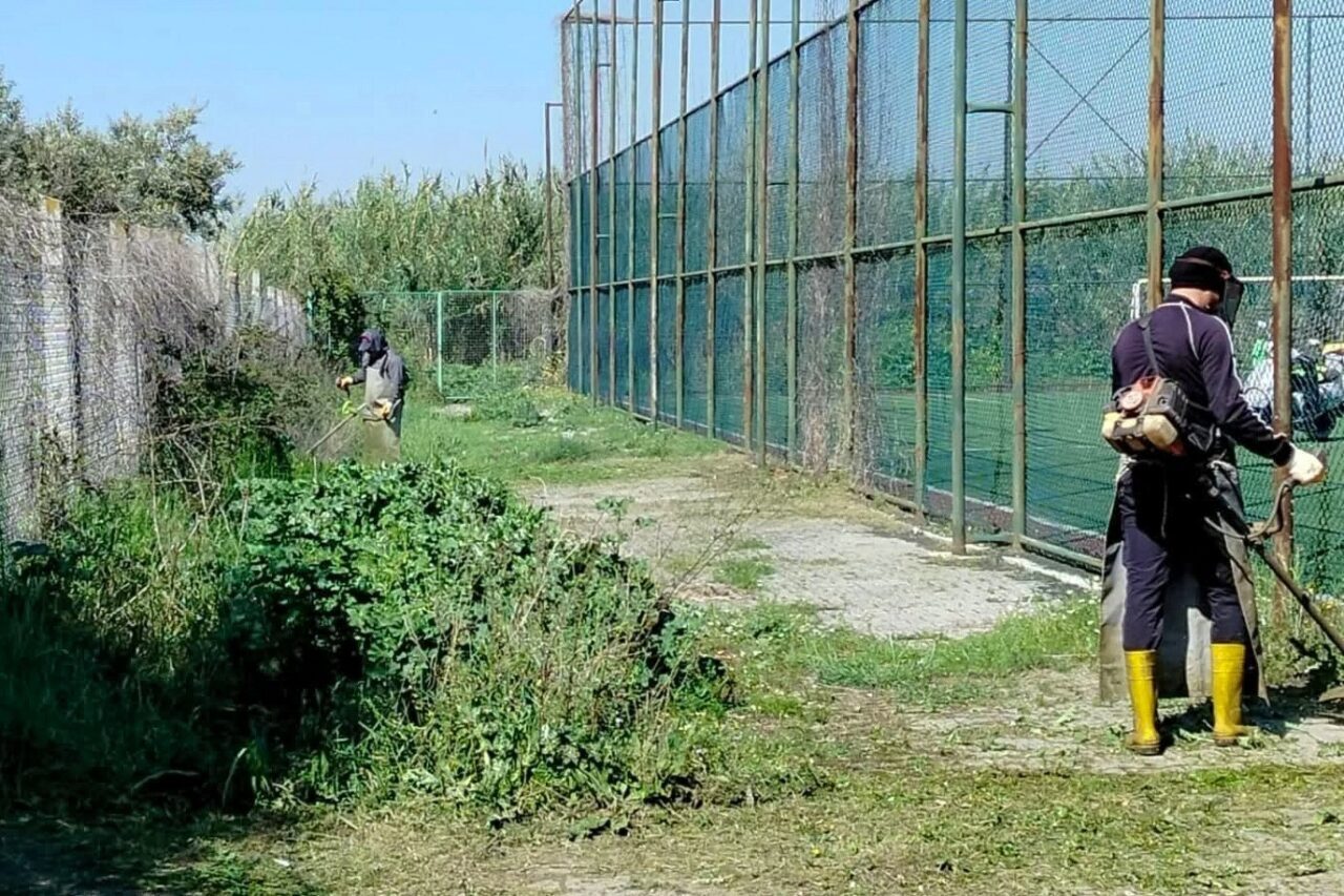 Saha çalışmalarını sürdüren Efeler Belediyesi ekipleri, Kocagür Mahallesi’nde ot biçme
