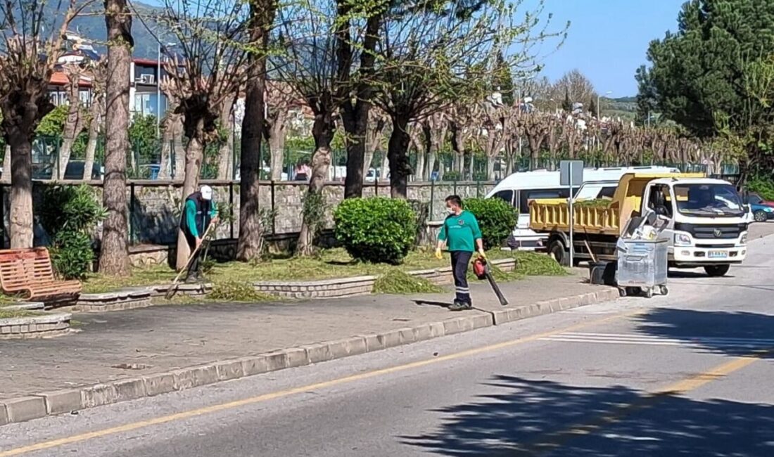 Efeler Belediyesi’nin yürüttüğü çim biçme ve çevre düzenleme çalışmaları aralıksız