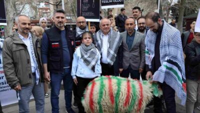 Kayseri Yahyalı’da yaşayan 12 yaşındaki Ecrin Güçlü, elleriyle besleyip büyüttüğü