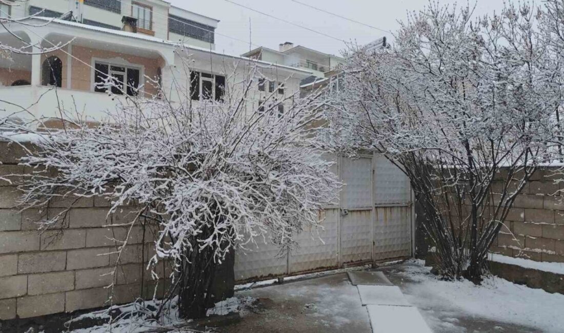 Van’ın Erciş ilçesinde nisan ayında etkili olan kar yağışı hayatı