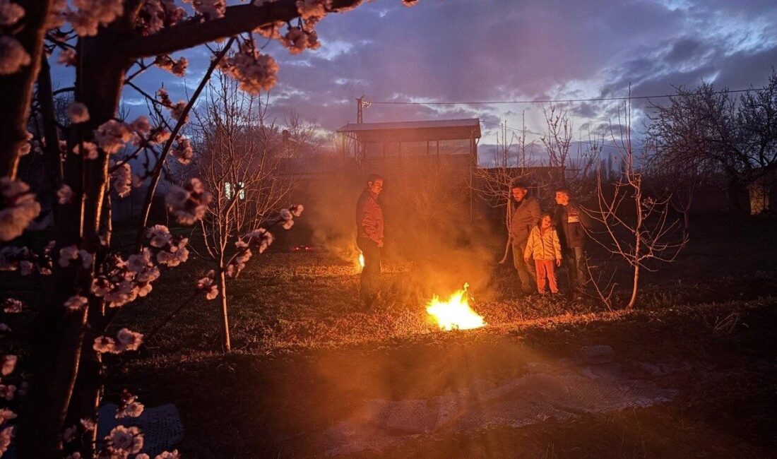 Erzincan’da hava sıcaklıklarının gece saatlerinde eksi derecelere kadar düşmesi, çiçeklenme