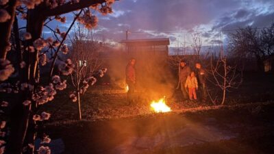 Erzincan’da hava sıcaklıklarının gece saatlerinde eksi derecelere kadar düşmesi, çiçeklenme