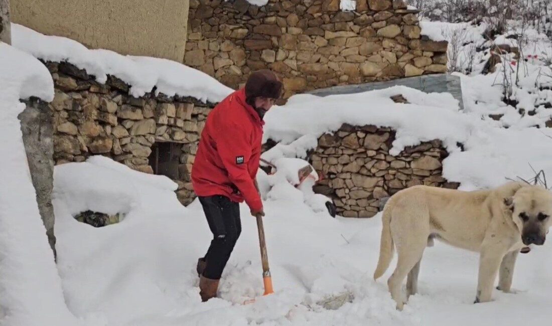 Erzincan’da hava sıcaklıklarının düşmesiyle kent merkezinde yağmur, Refahiye ilçesinde ise