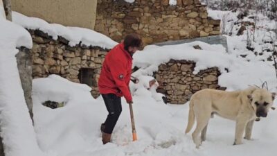Erzincan’da hava sıcaklıklarının düşmesiyle kent merkezinde yağmur, Refahiye ilçesinde ise