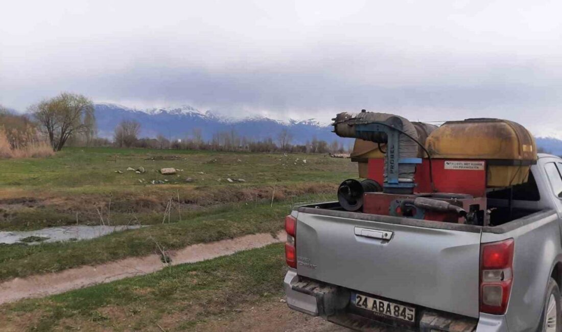 Erzincan’da yaz aylarında artış gösteren sivrisinek ve larvalara karşı ilaçlama