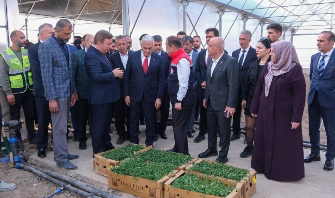 Türk Devletleri Teşkilatı Aksakallar Konseyi Başkanı Binali Yıldırım, Erzincan’da tarımsal