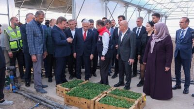 Türk Devletleri Teşkilatı Aksakallar Konseyi Başkanı Binali Yıldırım, Erzincan’da tarımsal