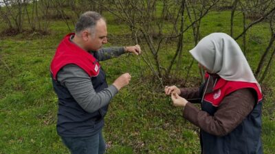 DÜZCE (İHA) – Düzce’de fındık üreticileri, mevsim normallerinin üzerinde seyreden