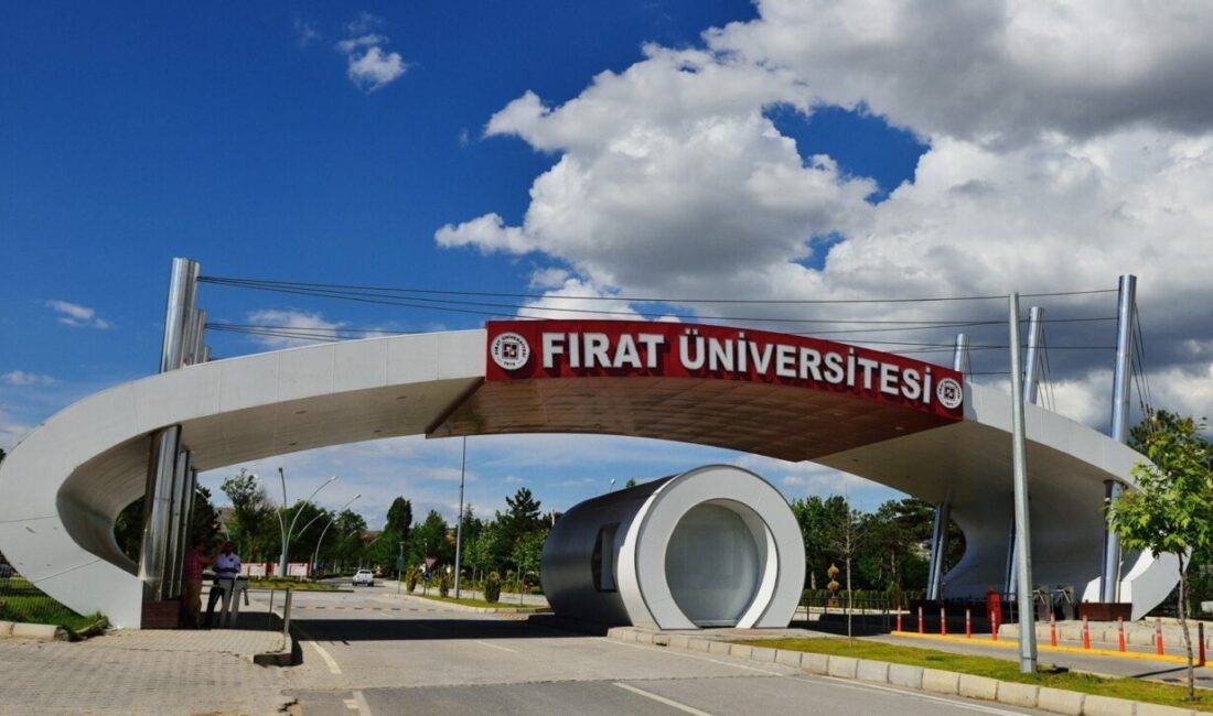 Fırat Üniversitesi Yazılım ve Bilişim Araştırma Enstitüsü bünyesinde yapay zeka