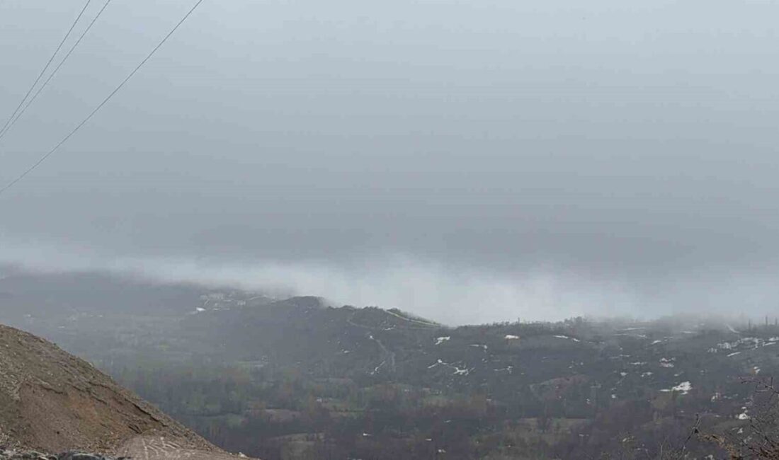 Bitlis’in Hizan ilçesinde etkili olan yoğun sis hayatı olumsuz etkiledi.