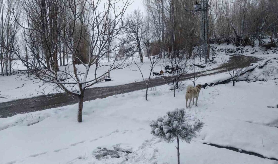 Bahar mevsimine rağmen Iğdır’da hava şartları kıştan izler taşıyor. Şehir