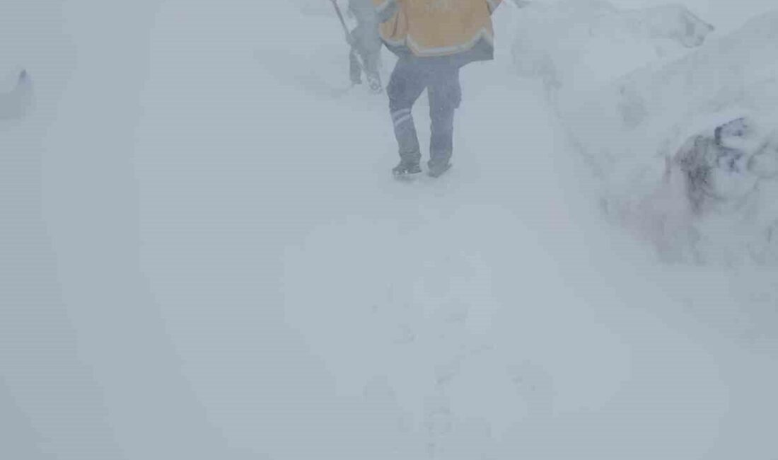 Şırnak’ta ilkbaharda etkili olan kar yağışı hayatı olumsuz etkiledi. Belde