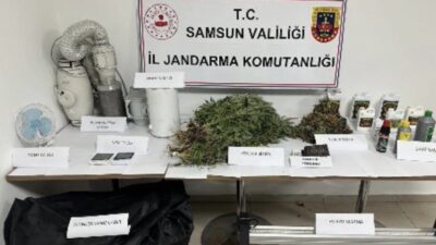 Samsun’da jandarma ekiplerince düzenlenen operasyonda evinde kenevir yetiştirdiği belirlenen şahıs