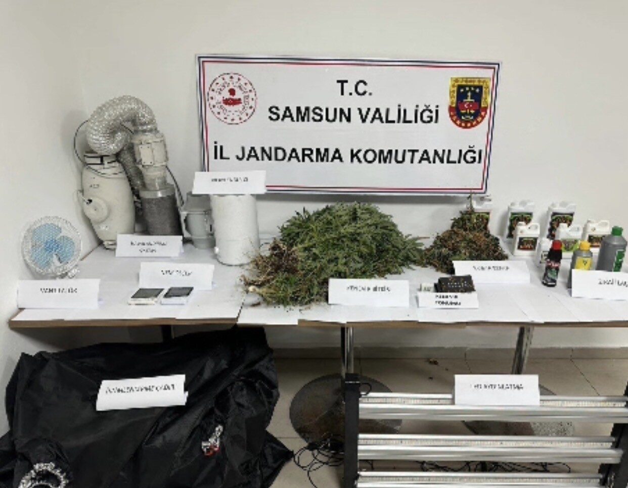 Samsun’da jandarma ekiplerince düzenlenen operasyonda evinde kenevir yetiştirdiği belirlenen şahıs