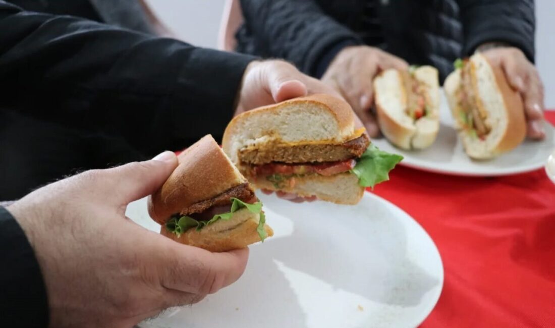 SAMSUN (İHA) – Samsun’da kadın üreticiler, istiridye mantarından turşu, köfte