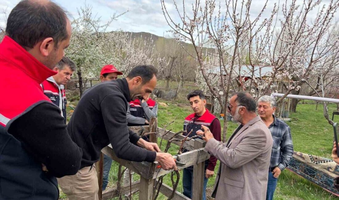 Kars genelinde meyveciliğin geliştirilmesi ve üreticilerin bilinçlendirilmesi amacıyla yürütülen eğitim