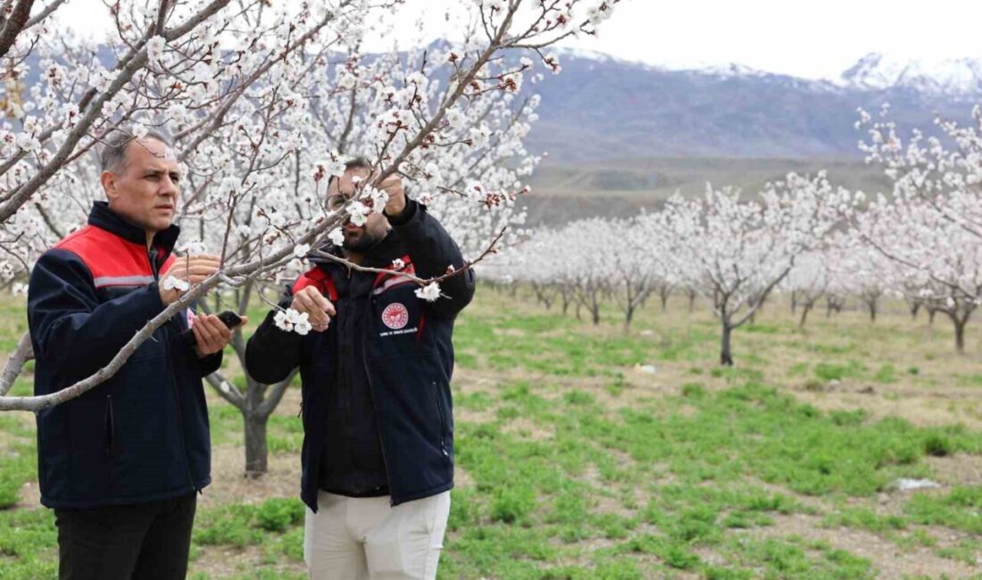Kağızman’da tarımsal üretimin geliştirilmesi ve üreticilerin bilinçlendirilmesi amacıyla önemli bir