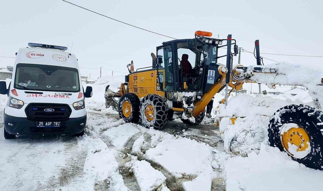 Bölge genelinde havanın çok bulutlu, Erzurum, Ardahan ve çevrelerinin aralıklı