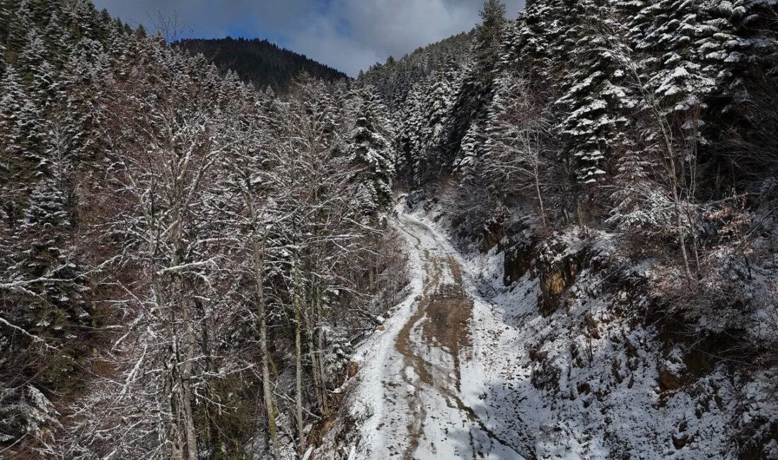 Karabük-Bartın kara yolunda etkili olan kar yağışı sonrası oluşan beyaz