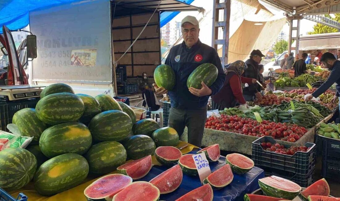 Mersin’de sezonun ilk karpuzları pazarda satışa çıkarken, dilim dilim müşteriye