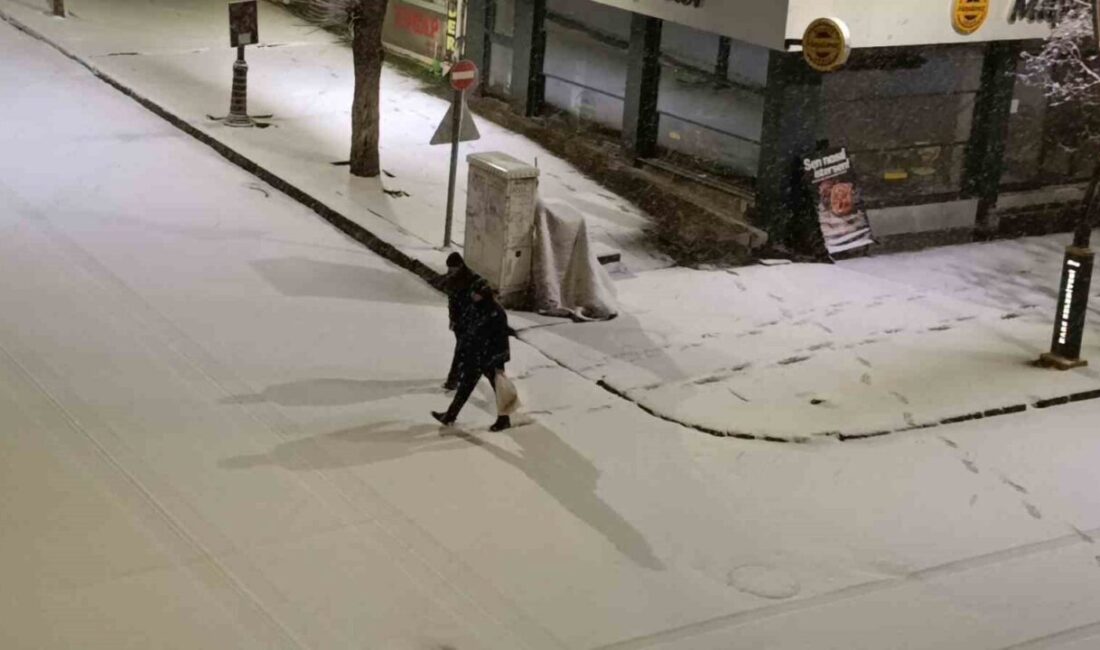 Bahar mevsiminin gelmesine rağmen Kars’ta etkili olan ani kar yağışı