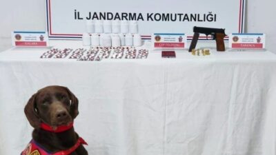 Kastamonu’da jandarma ekipleri tarafından gerçekleştirilen uyuşturucu operasyonunda gözaltına alınan 1