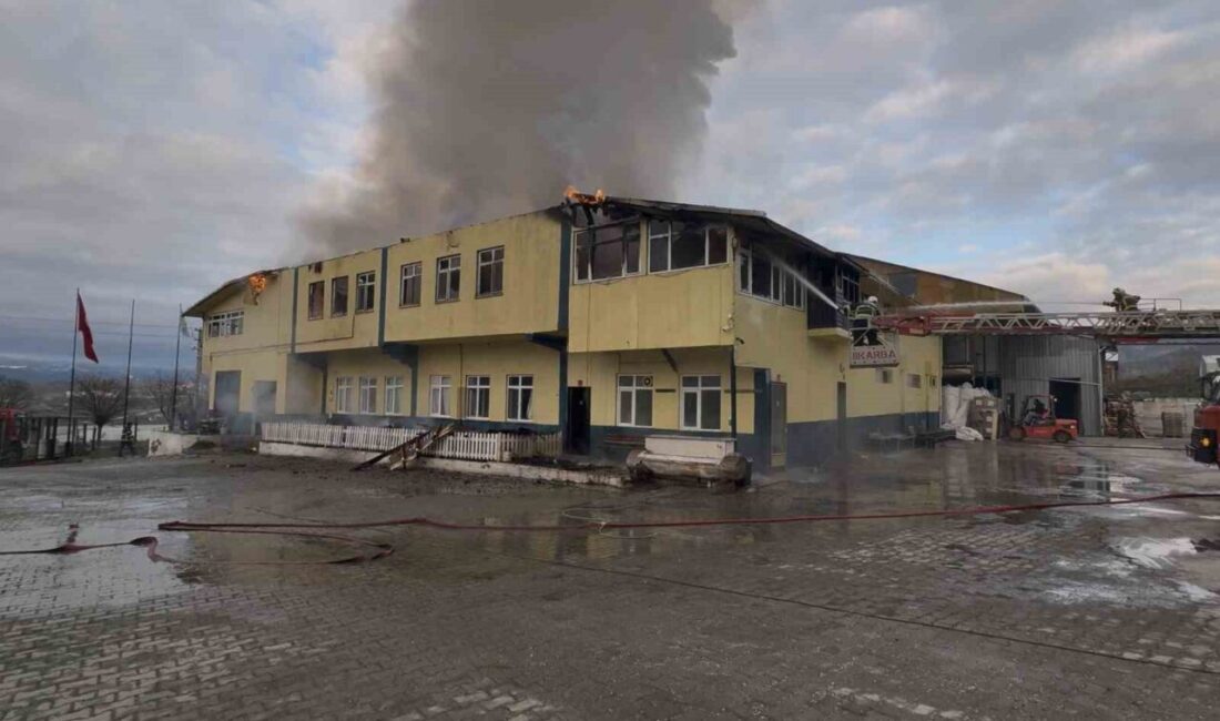 Kastamonu’nun Tosya ilçesinde çıkan fabrika yangını ekiplerin müdahalesiyle kontrol altına