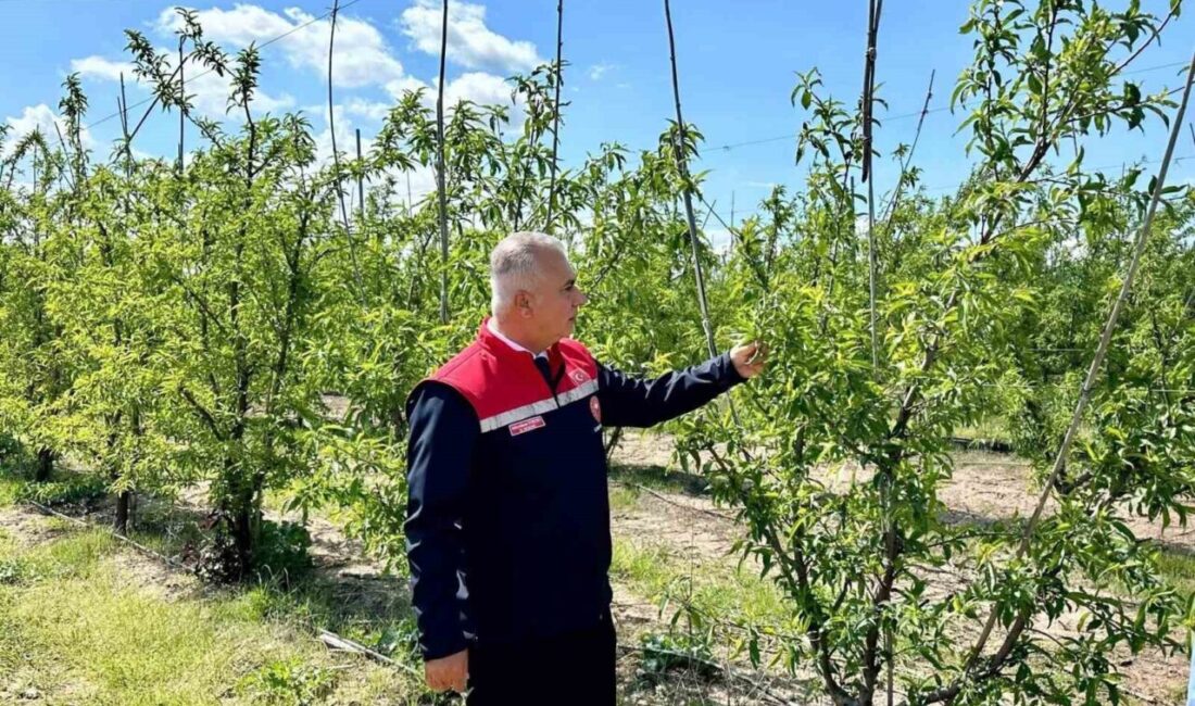 Hatay İl Tarım ve Orman Müdürü Abdurrahman Türkmen, Kırıkhan ilçesinde