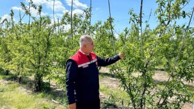 Hatay İl Tarım ve Orman Müdürü Abdurrahman Türkmen, Kırıkhan ilçesinde