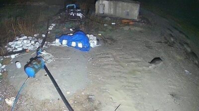 Konya’nın Karapınar ilçesinde domuz sürüsünün yerleşim alanına indiği anlar güvenlik