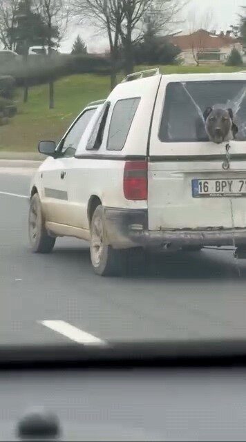 Bursa’nın İnegöl ilçesinde seyir halinde olan bir kamyonetin kırık camından