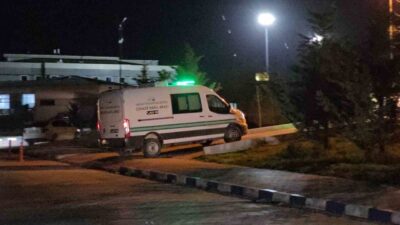 Van’ın Saray ilçesinde sokak köpeklerinin saldırısında hayatını kaybeden 5 yaşındaki